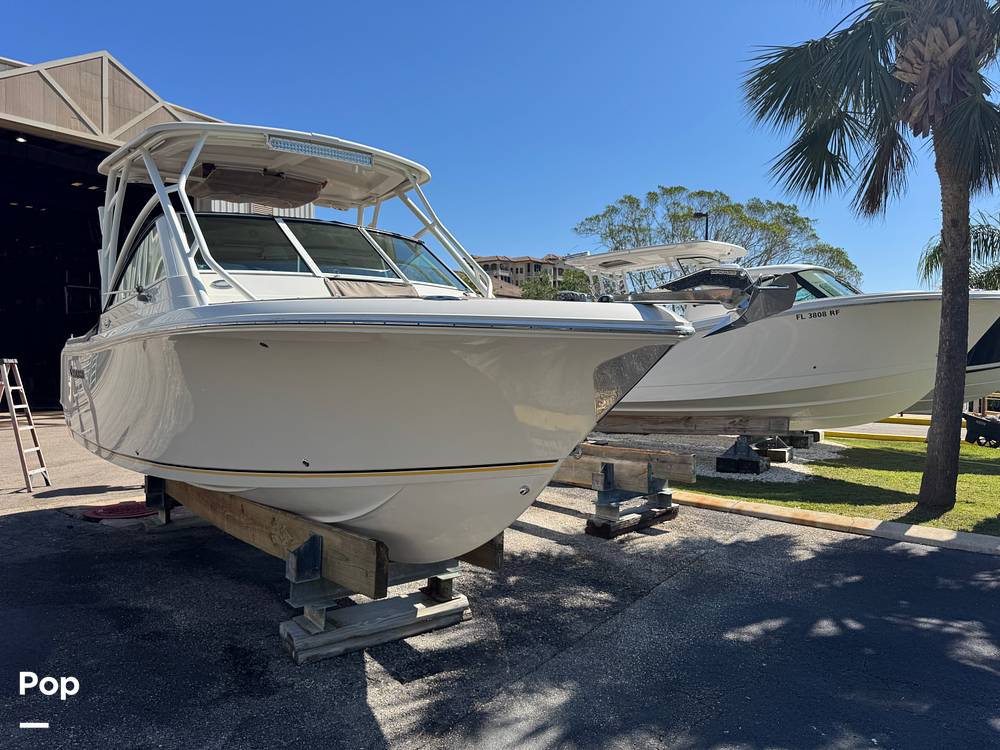 Slide: The Image of Sailfish 245DC 2018 - 15368276