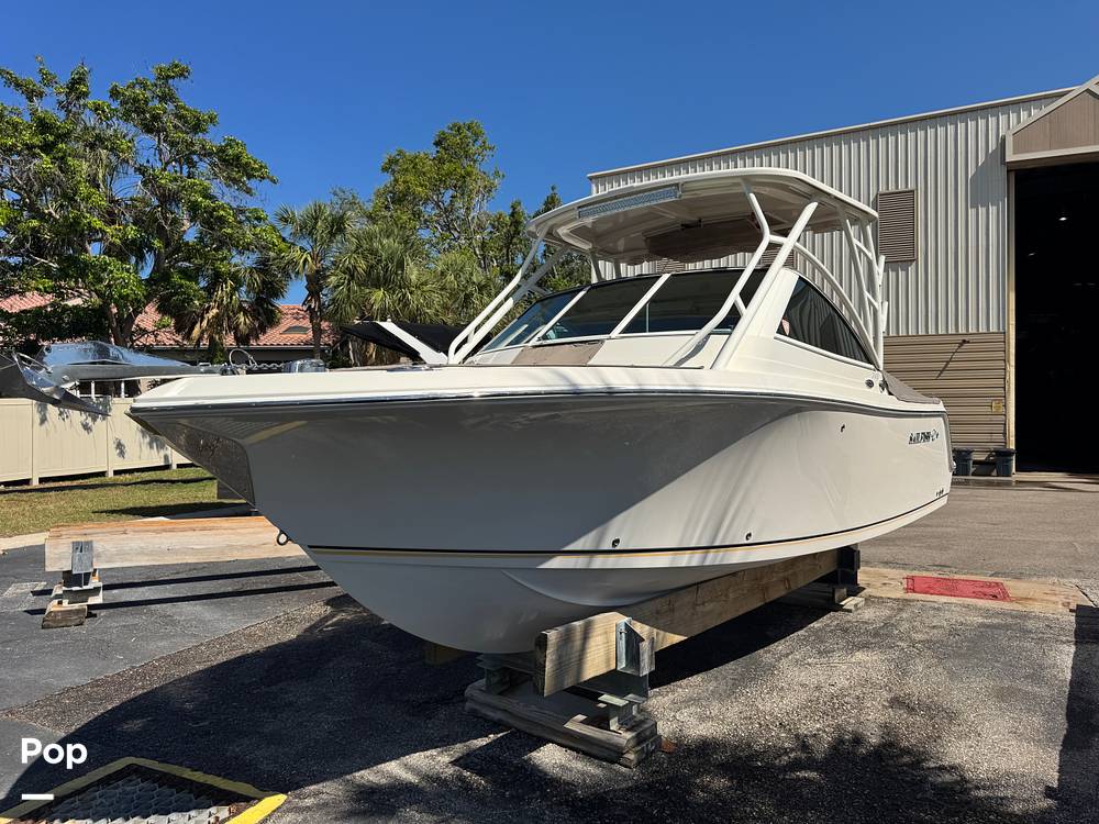 Slide: The Image of Sailfish 245DC 2018 - 15368278