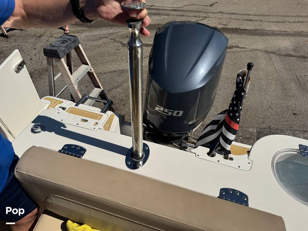 Slide: The Image of Sailfish 245DC 2018 - 15368304