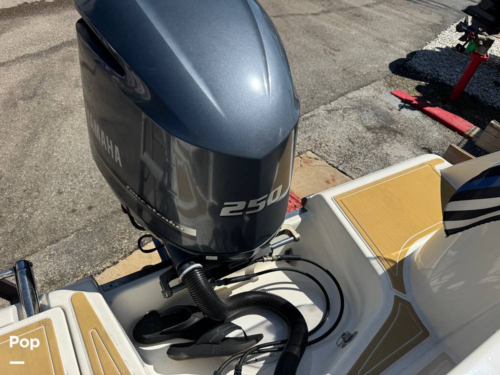 Slide: The Image of Sailfish 245DC 2018 - 15368307