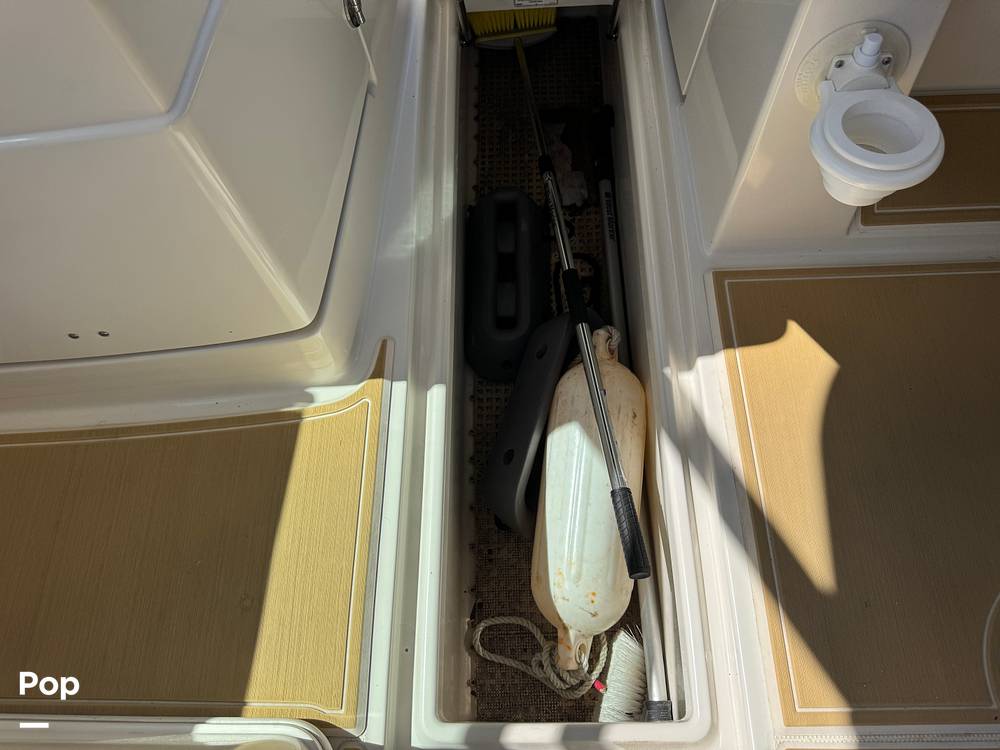 Slide: The Image of Sailfish 245DC 2018 - 15368361