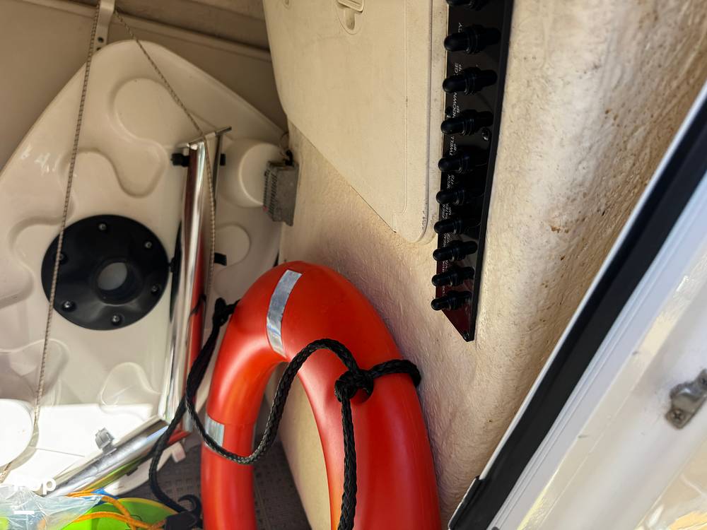 Slide: The Image of Sailfish 245DC 2018 - 15368368