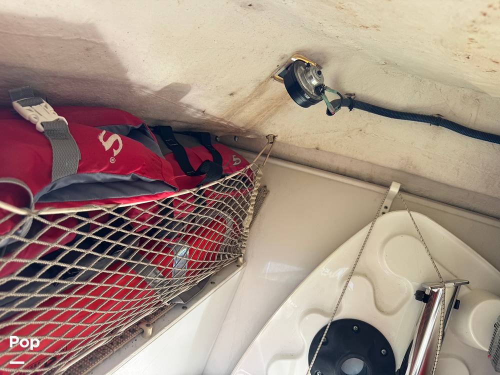 Slide: The Image of Sailfish 245DC 2018 - 15368369