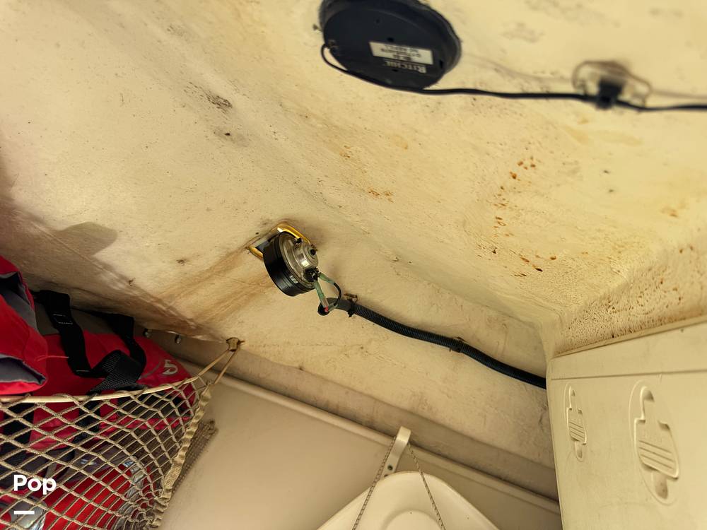 Slide: The Image of Sailfish 245DC 2018 - 15368370