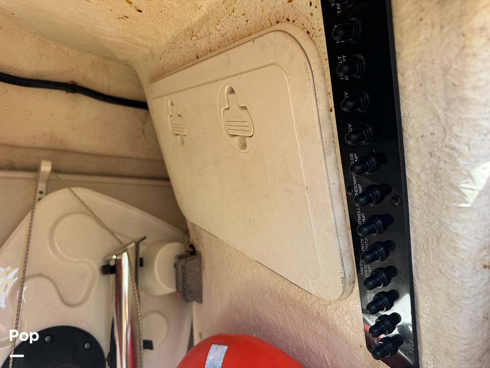 Slide: The Image of Sailfish 245DC 2018 - 15368371