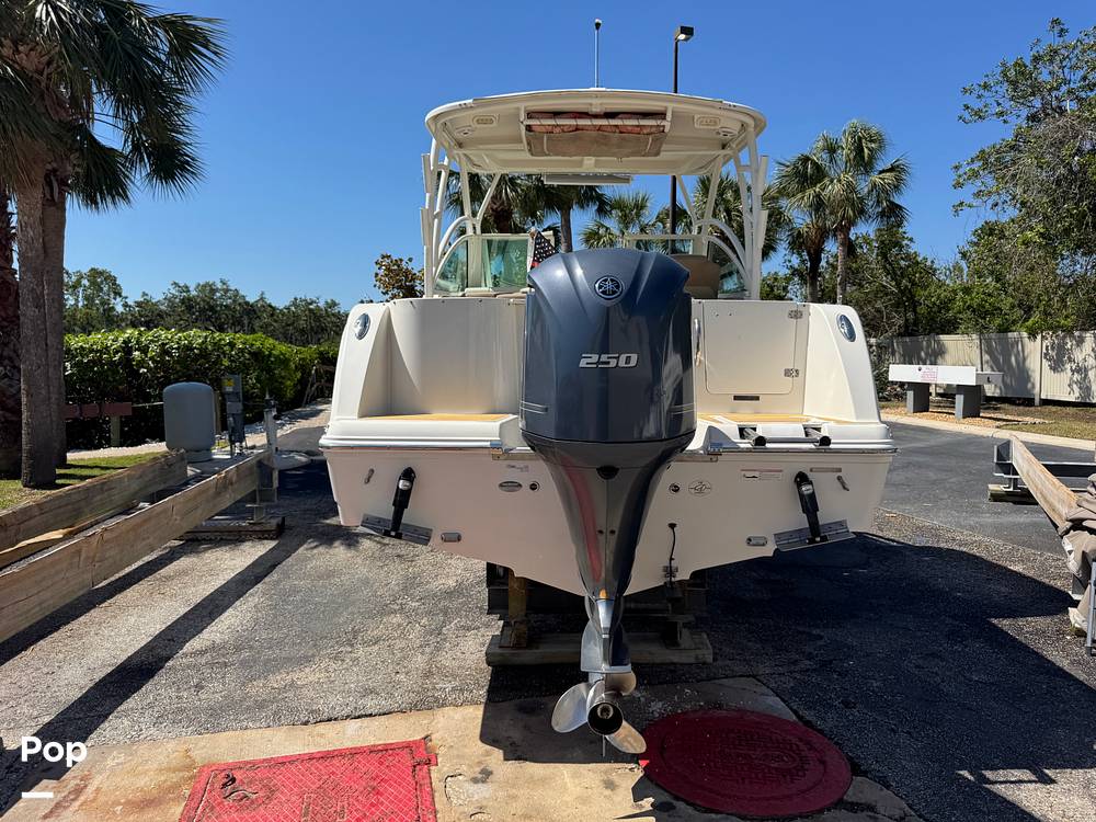 Slide: The Image of Sailfish 245DC 2018 - 15368405