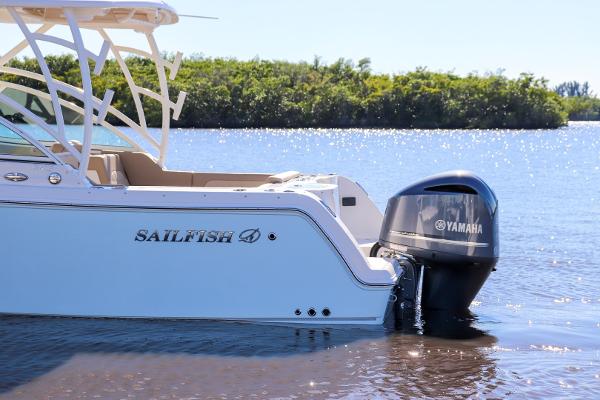 Slide: The Image of Sailfish 245 DC 2021 - 4