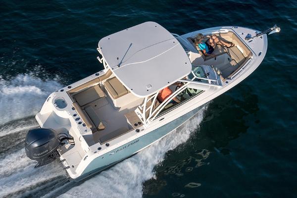 Slide: The Image of Sailfish 245 DC 2023 - 3