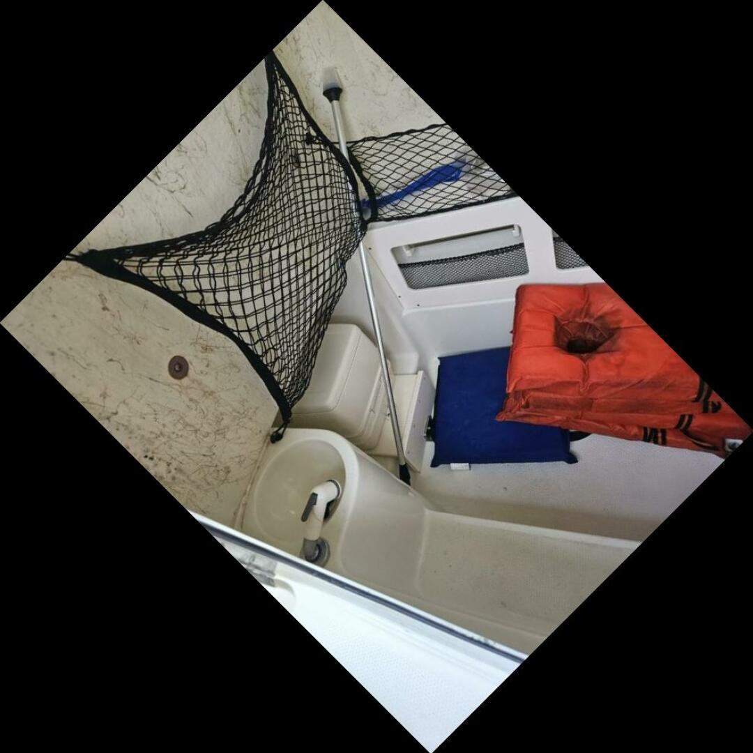 Slide: The Image of Sailfish 26 2007 - 4633206