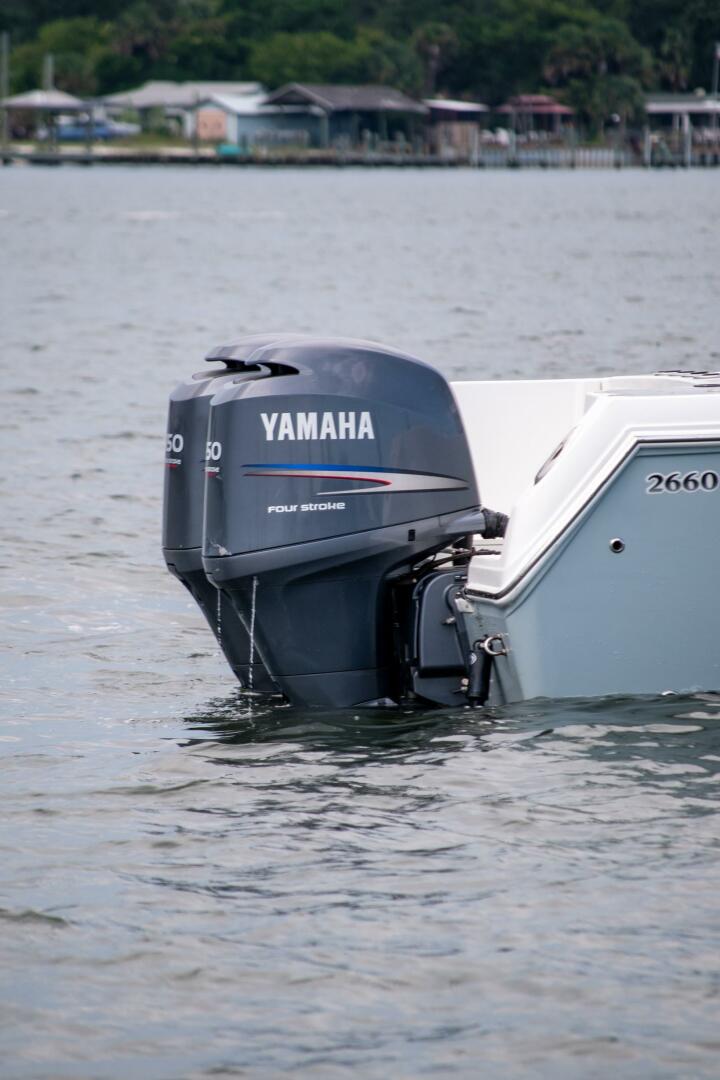 Slide: The Image of Sailfish 26 2007 - 5569201