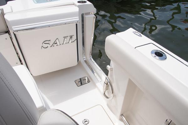 Slide: The Image of Sailfish 272 CC 2021 - 4
