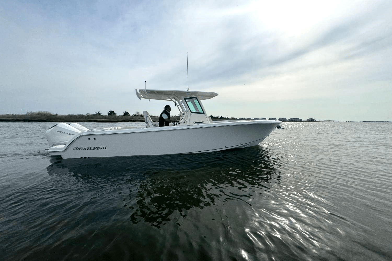 Slide: The Image of Sailfish 272CC SE 2025 - 3