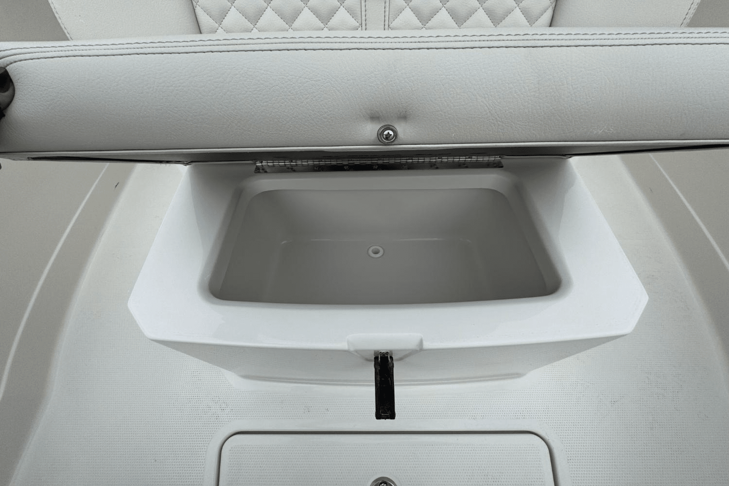 Slide: The Image of Sailfish 272CC SE 2025 - 35