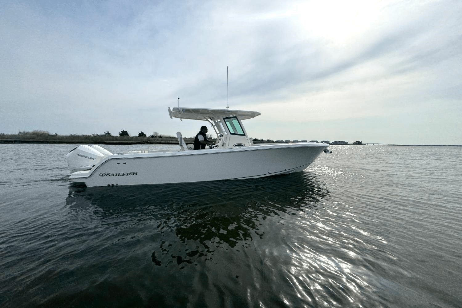 Slide: The Image of Sailfish 272CC SE 2025 - 4