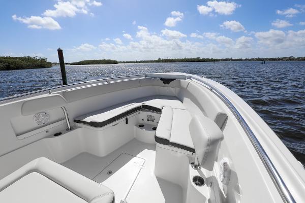 Slide: The Image of Sailfish 290 CC 2021 - 1
