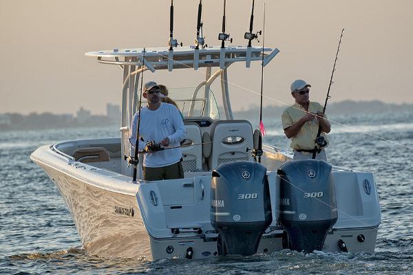 Slide: The Image of Sailfish 290 CC 2023 - 3