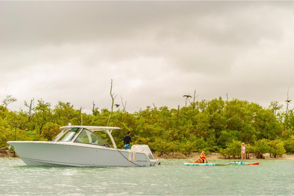 Slide: The Image of Sailfish 316 DC 2026 - 31