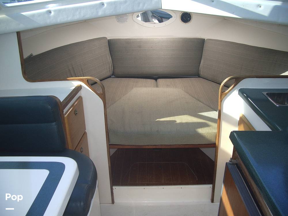 Slide: The Image of Salt Shaker 290 Flybridge 2002 - 15618581