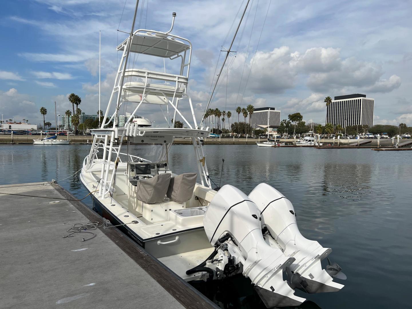Slide: The Image of Salt Shaker 300 Custom Edition 2008 - 3559730