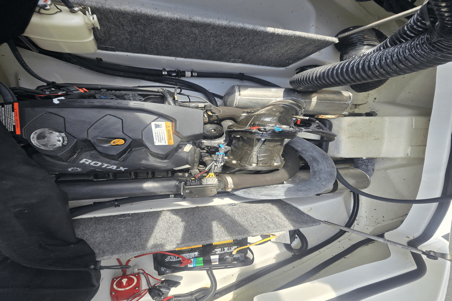 Slide: The Image of Scarab 165 2021 - 16