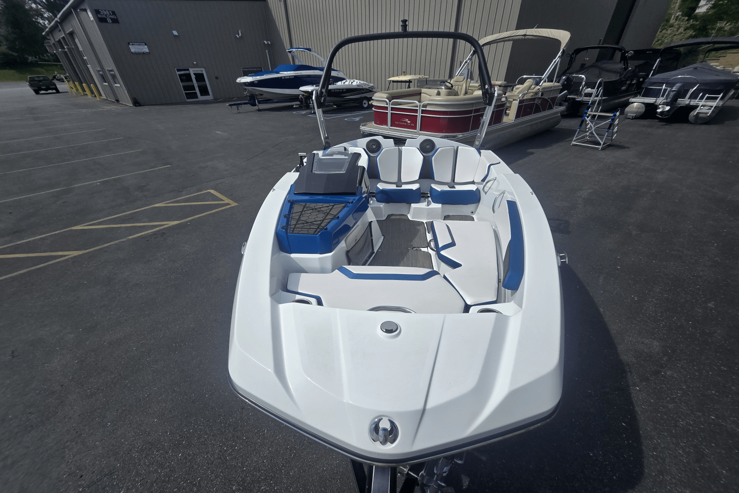 Slide: The Image of Scarab 165 2021 - 4