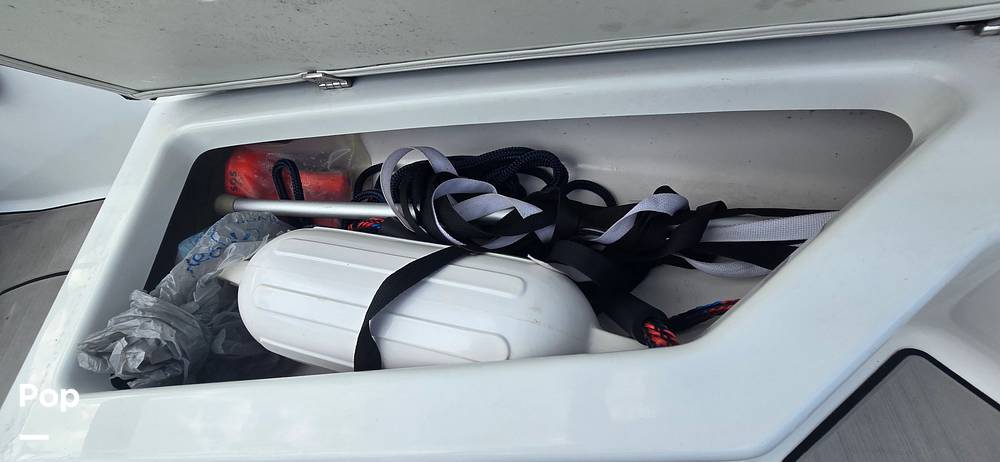 Slide: The Image of Scarab 165ID 2020 - 14472905
