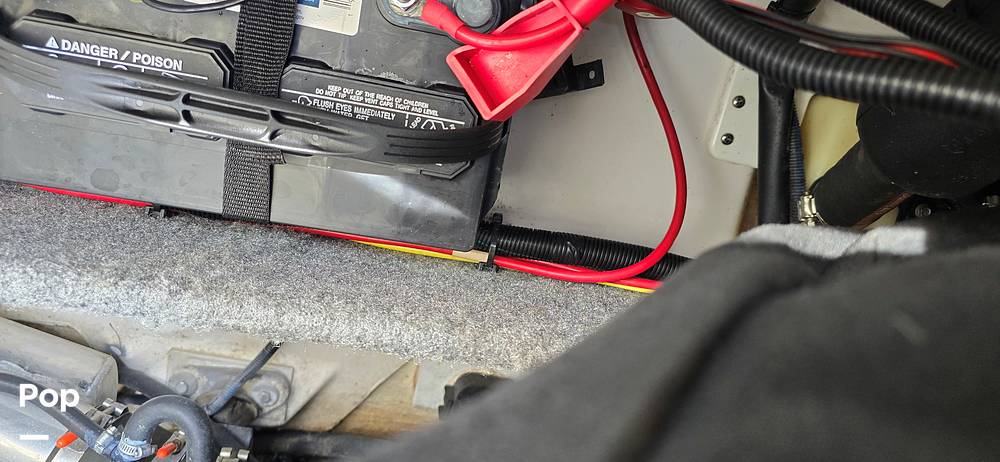 Slide: The Image of Scarab 165ID 2020 - 14472935