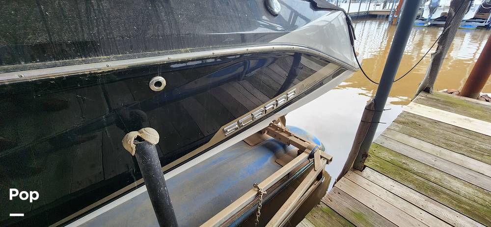 Slide: The Image of Scarab 195 Platinum Edition 2016 - 15401842