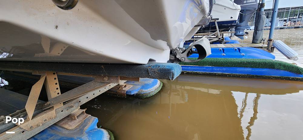 Slide: The Image of Scarab 195 Platinum Edition 2016 - 15401846