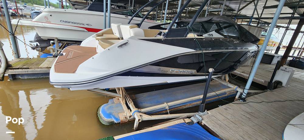 Slide: The Image of Scarab 195 Platinum Edition 2016 - 15401905