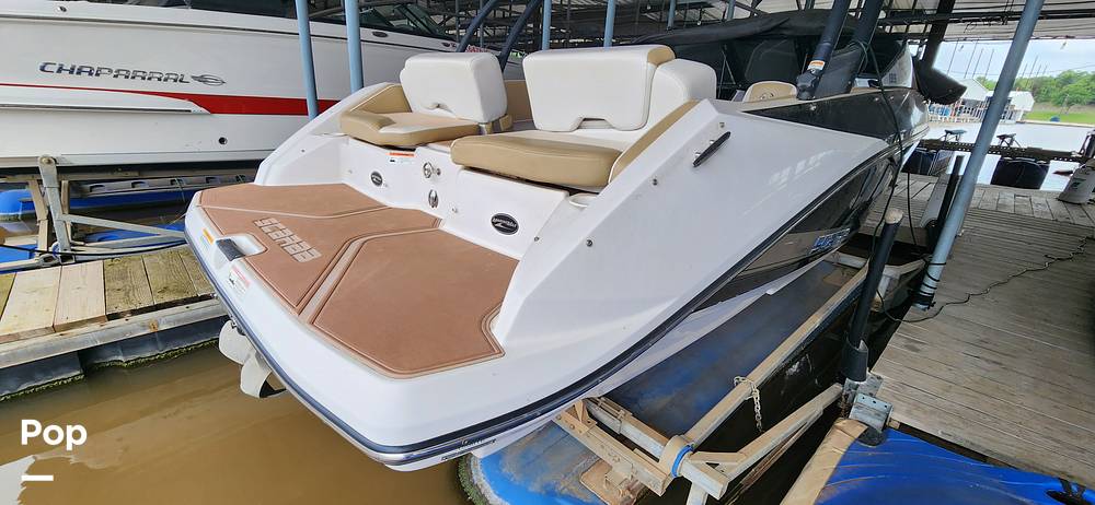 Slide: The Image of Scarab 195 Platinum Edition 2016 - 15401906