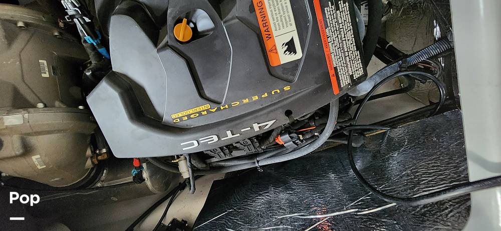 Slide: The Image of Scarab 195 Platinum Edition 2016 - 15401944