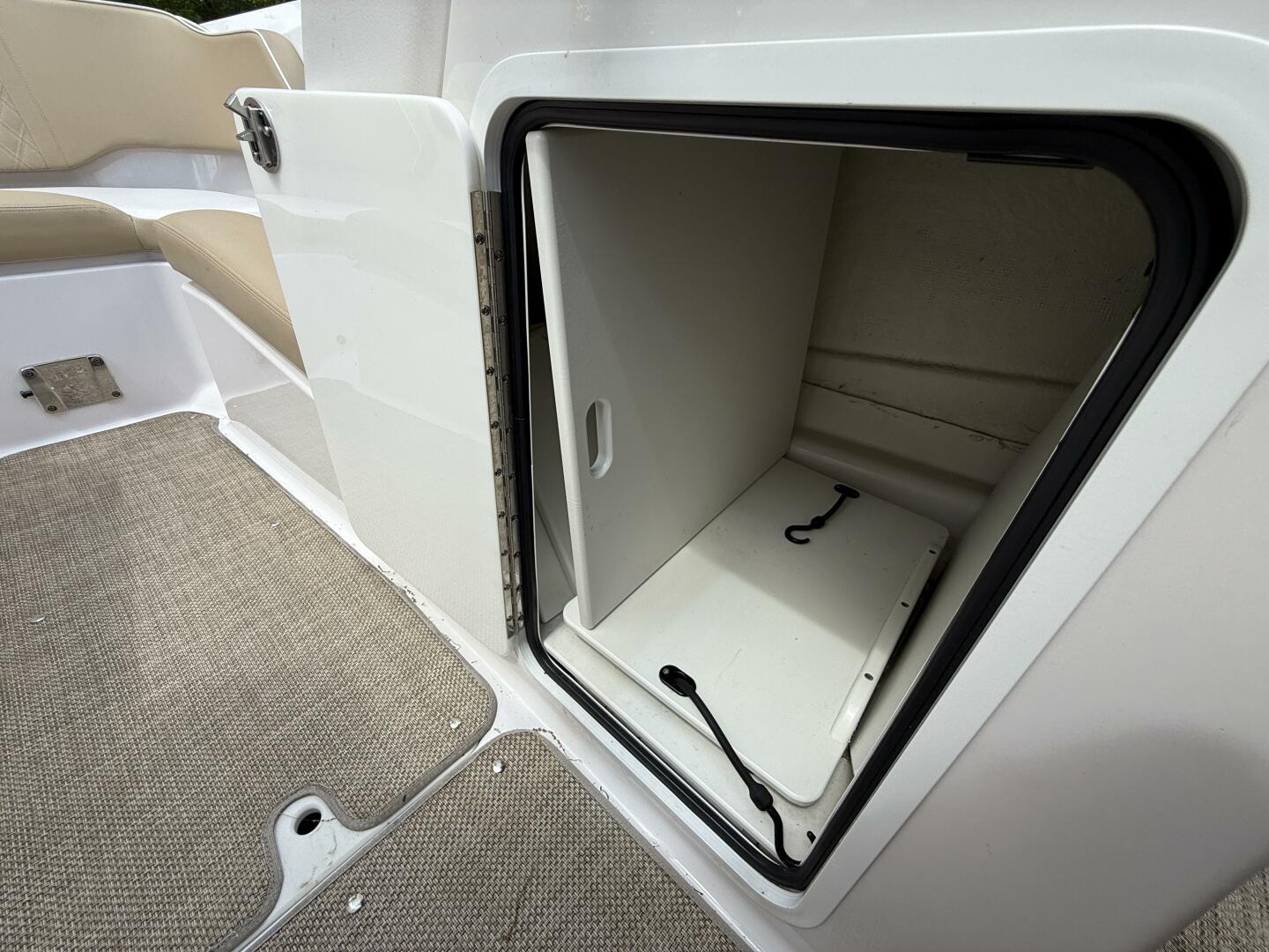 Slide: The Image of Scarab 255 H.O. Platinum 2016 - 5347578