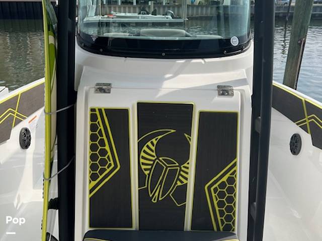 Slide: The Image of Scarab 255 Open 2020 - 42