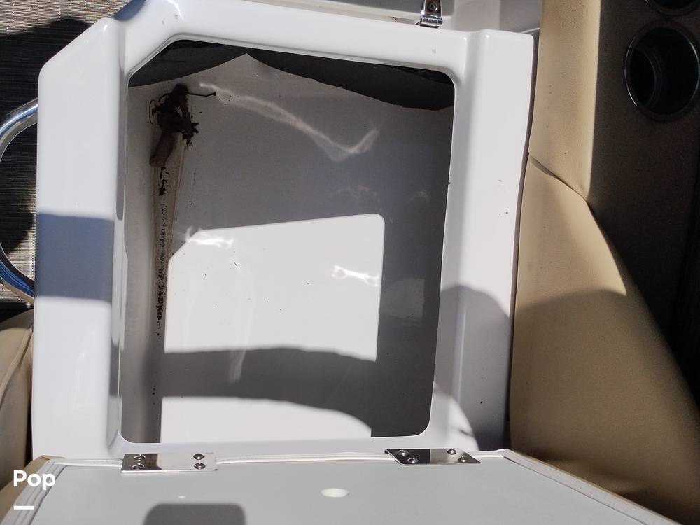 Slide: The Image of Scarab 255 Platinum 2017 - 14211833