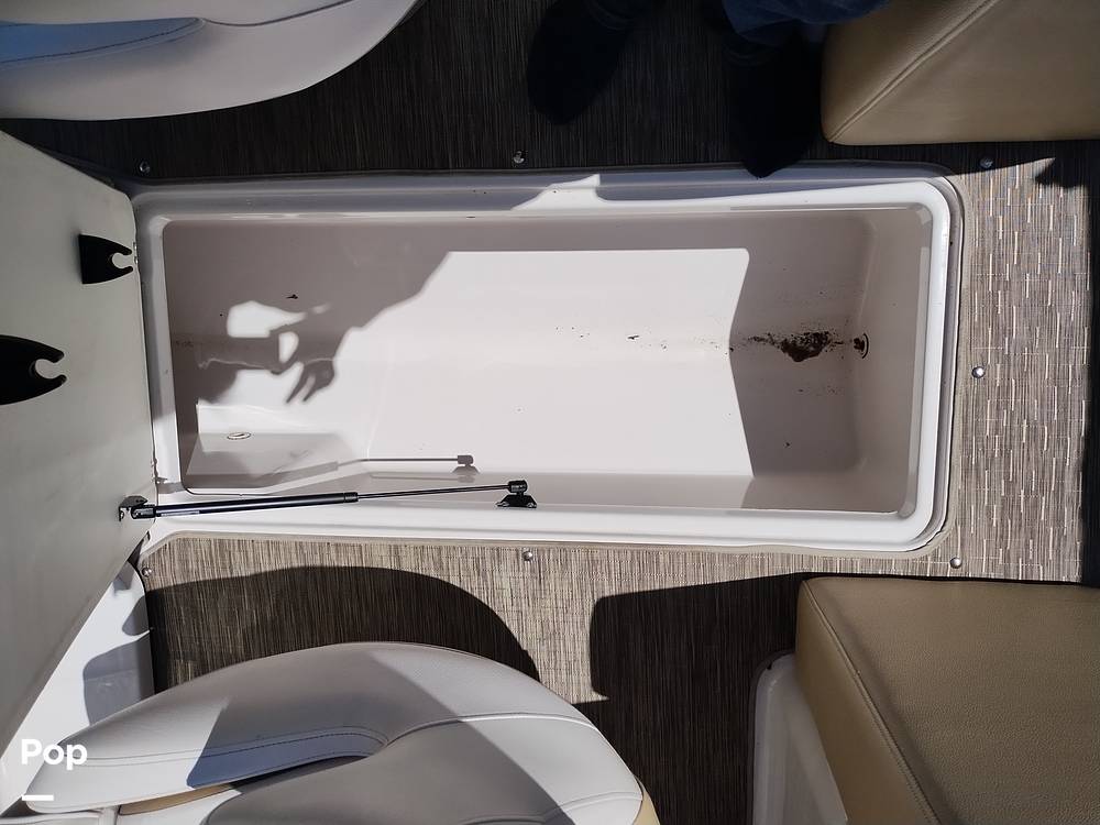 Slide: The Image of Scarab 255 Platinum 2017 - 14211836