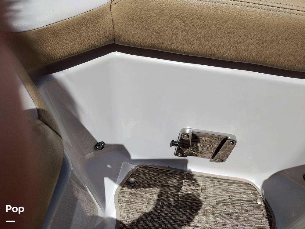 Slide: The Image of Scarab 255 Platinum 2017 - 14211901