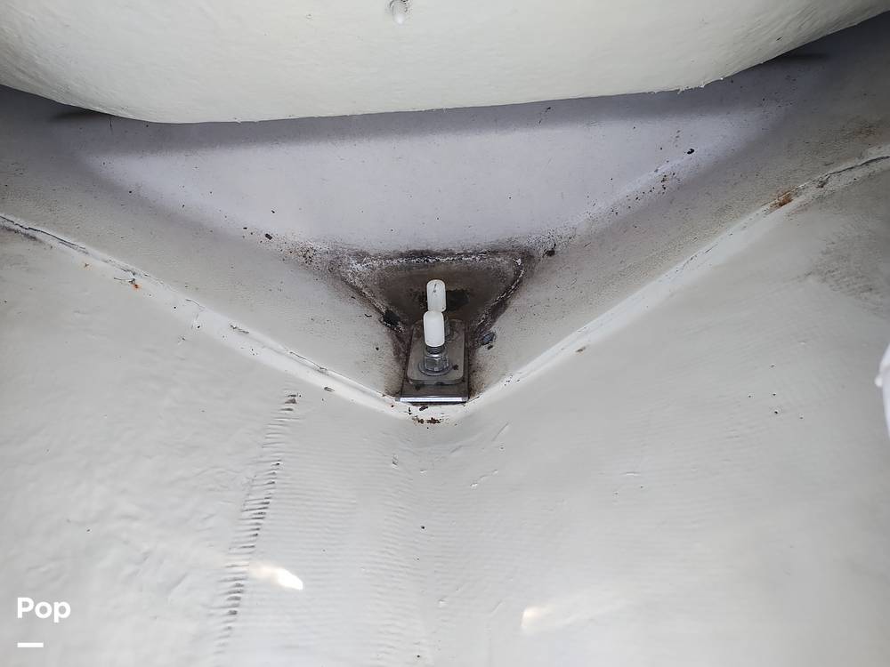 Slide: The Image of Scarab 255 Platinum 2017 - 14211912