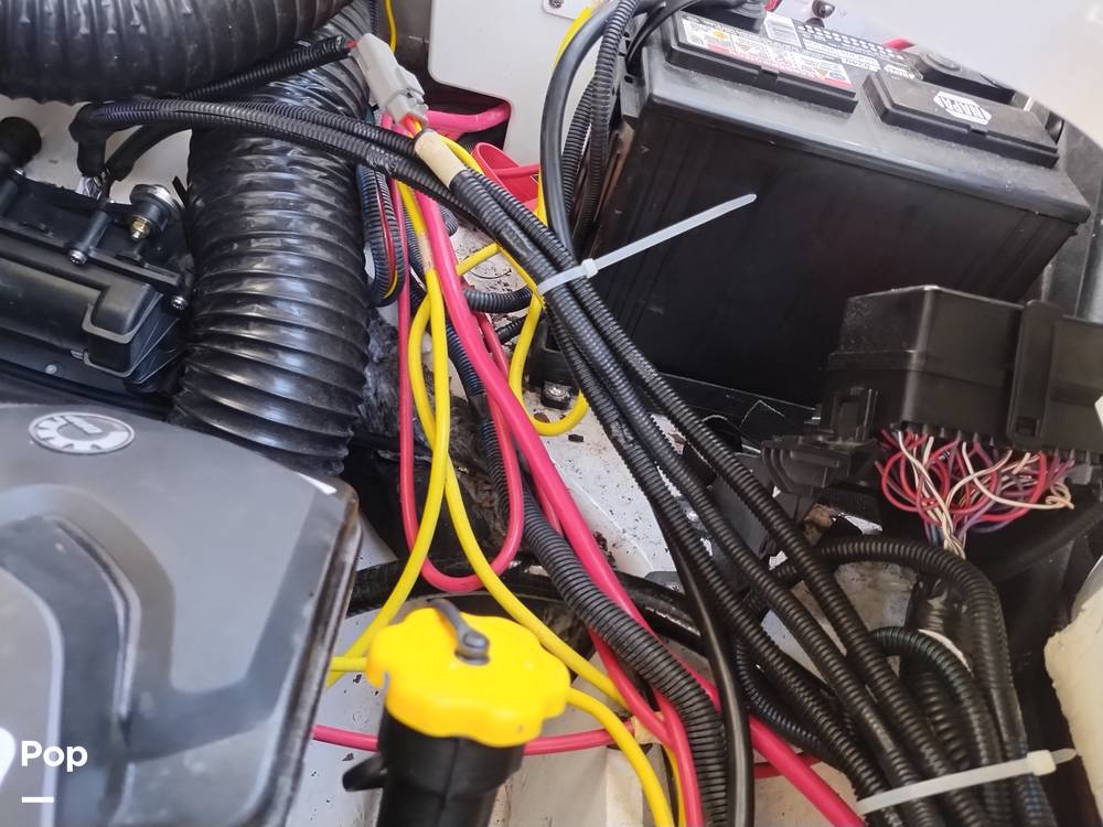 Slide: The Image of Scarab 255 Platinum 2017 - 14211943