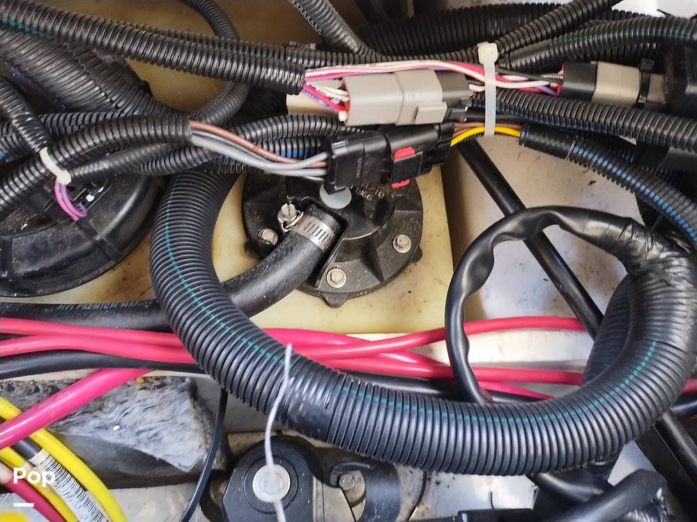 Slide: The Image of Scarab 255 Platinum 2017 - 14211944