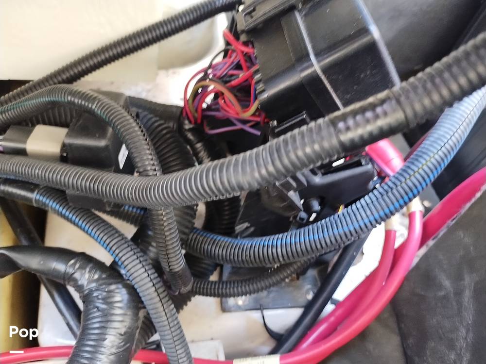 Slide: The Image of Scarab 255 Platinum 2017 - 14211945