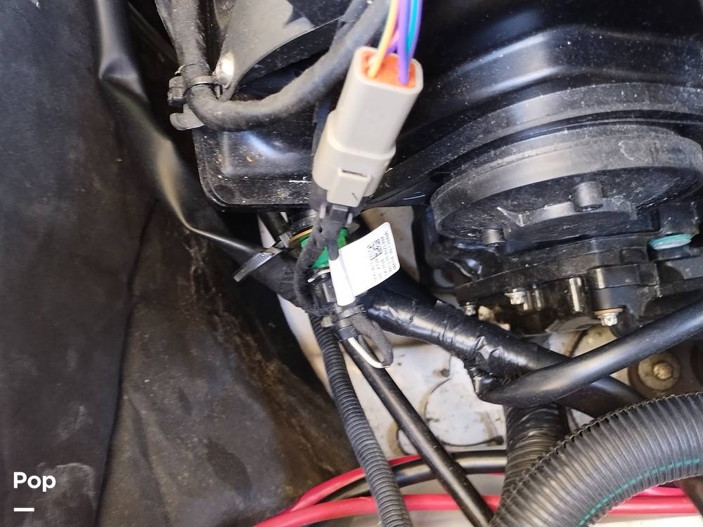 Slide: The Image of Scarab 255 Platinum 2017 - 14211946