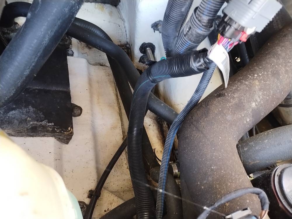 Slide: The Image of Scarab 255 Platinum 2017 - 14211948