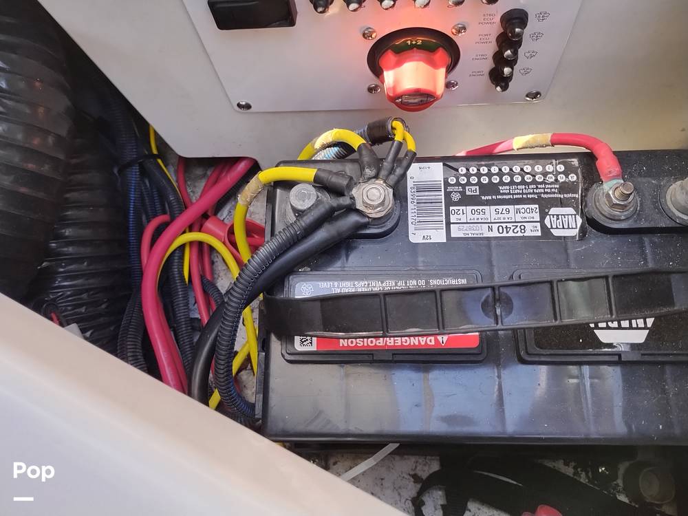 Slide: The Image of Scarab 255 Platinum 2017 - 14211953