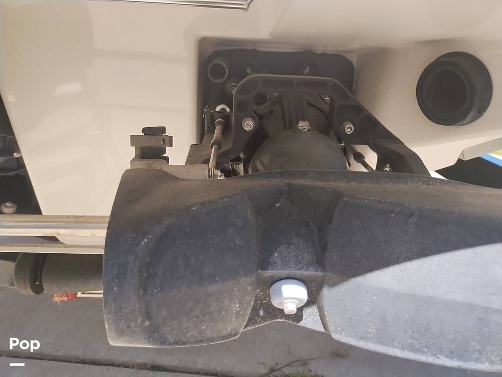 Slide: The Image of Scarab 255 Platinum 2017 - 14211961