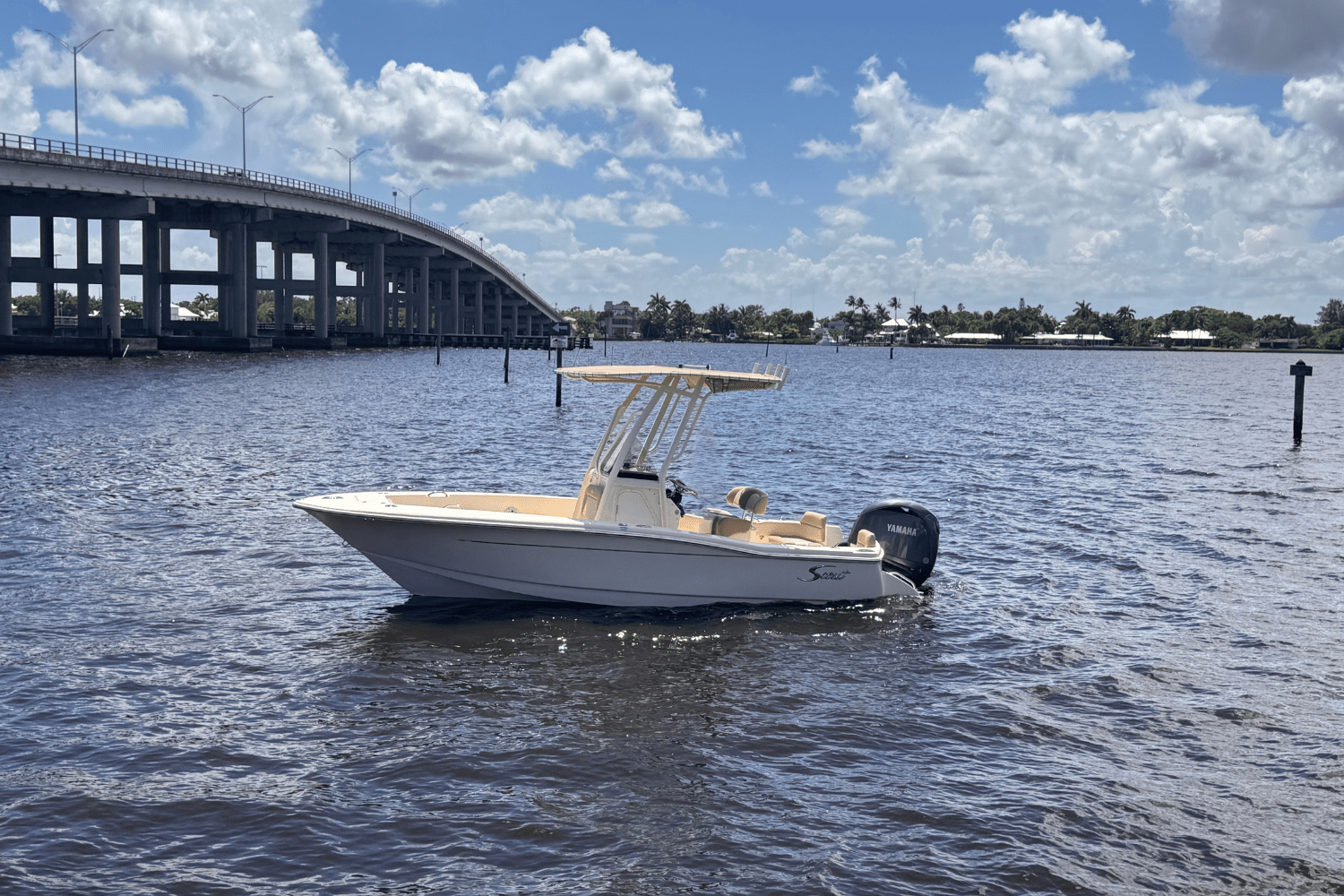 Slide: The Image of Scout 195 Sportfish 2024 - 0