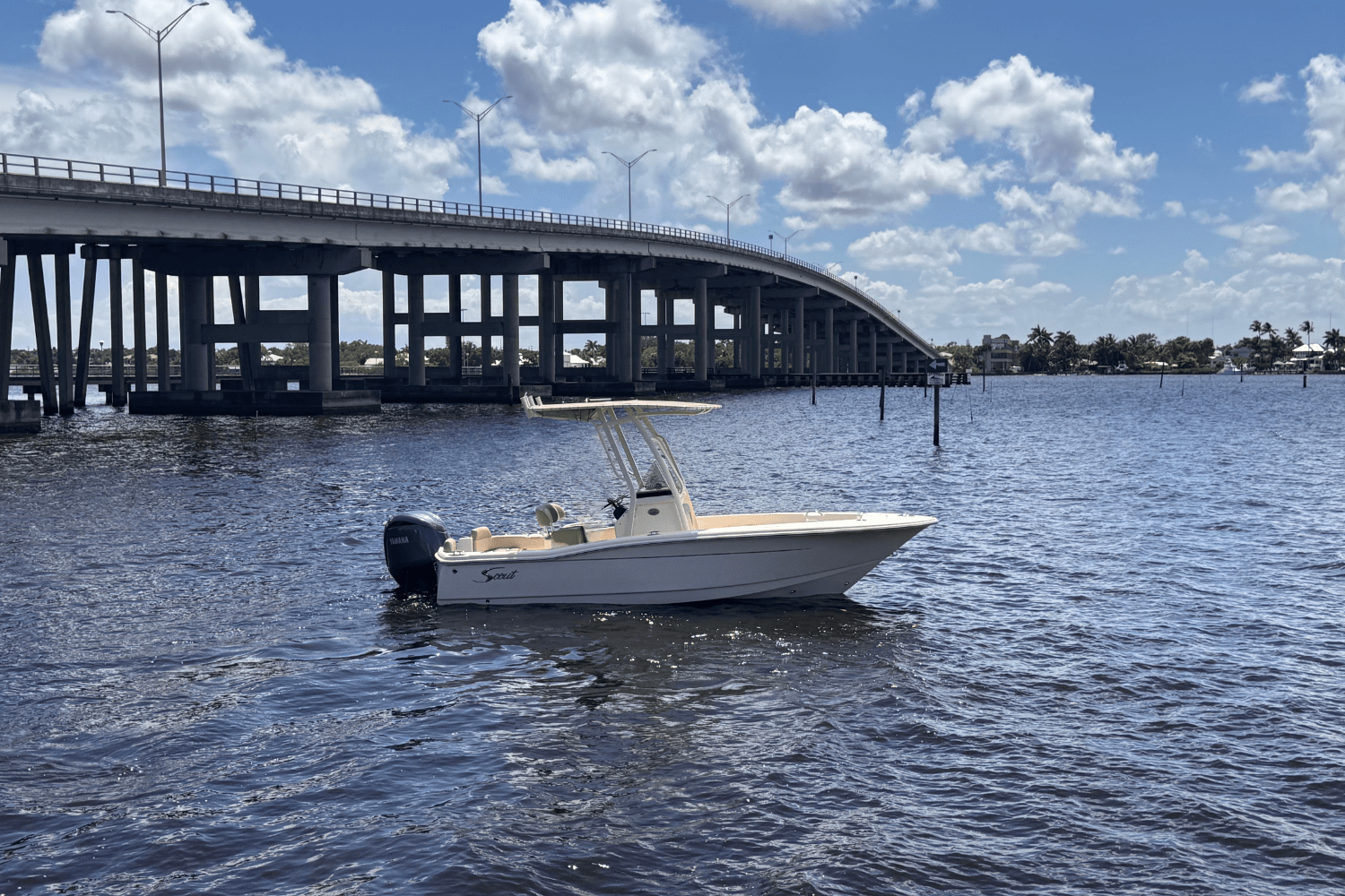 Slide: The Image of Scout 195 Sportfish 2024 - 1