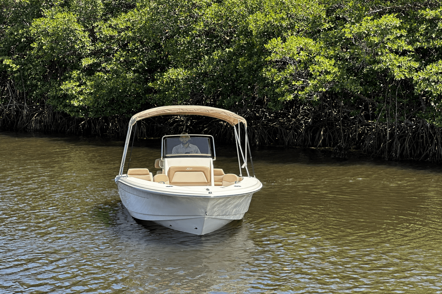 Slide: The Image of Scout 195 Sportfish 2025 - 2