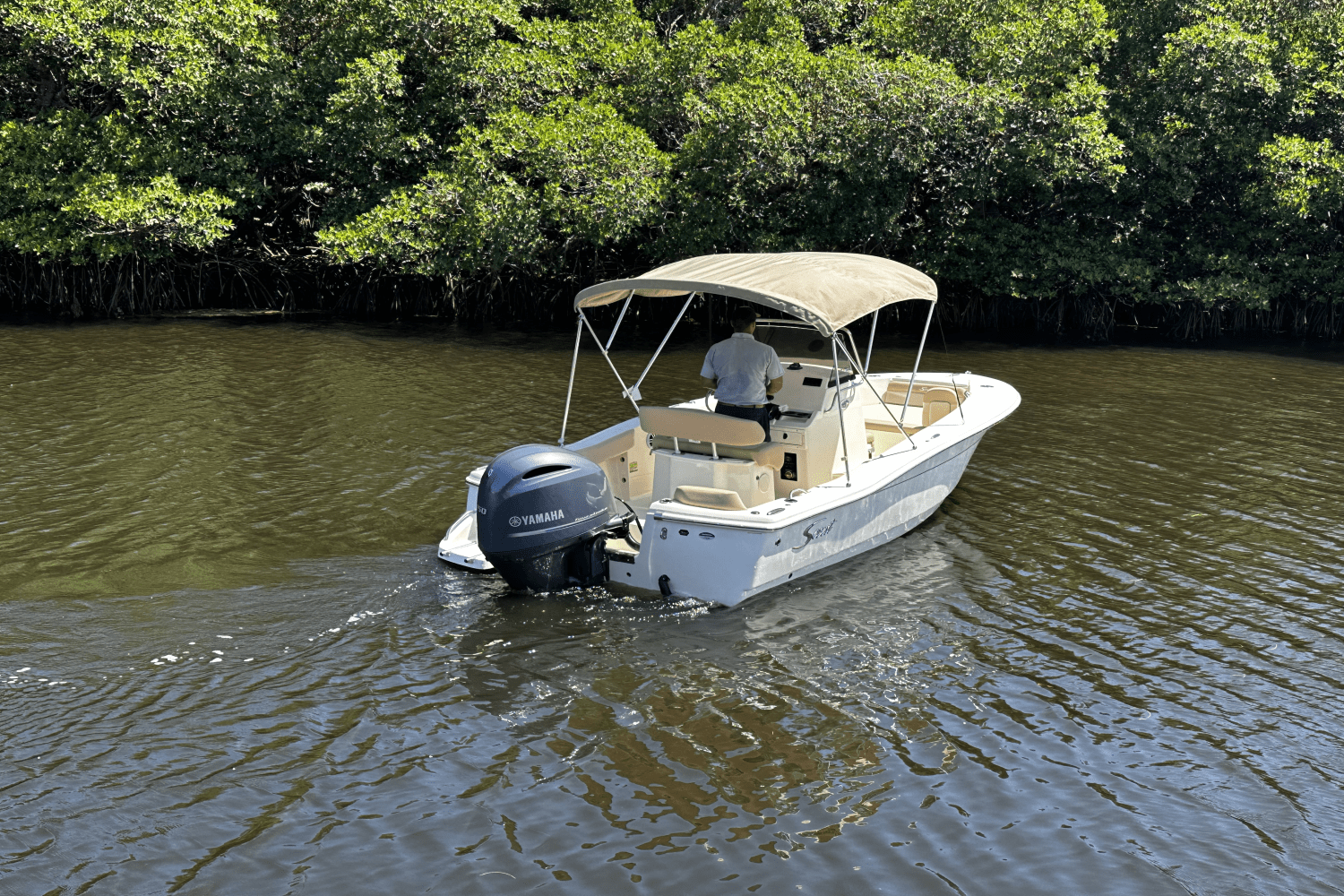 Slide: The Image of Scout 195 Sportfish 2025 - 7