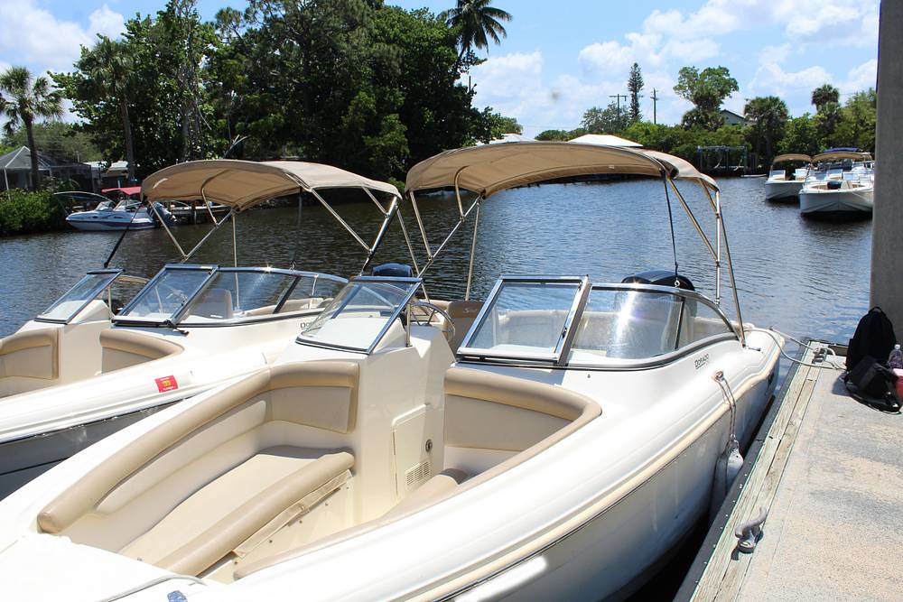 Slide: The Image of Scout 210 Dorado 2022 - 14271154